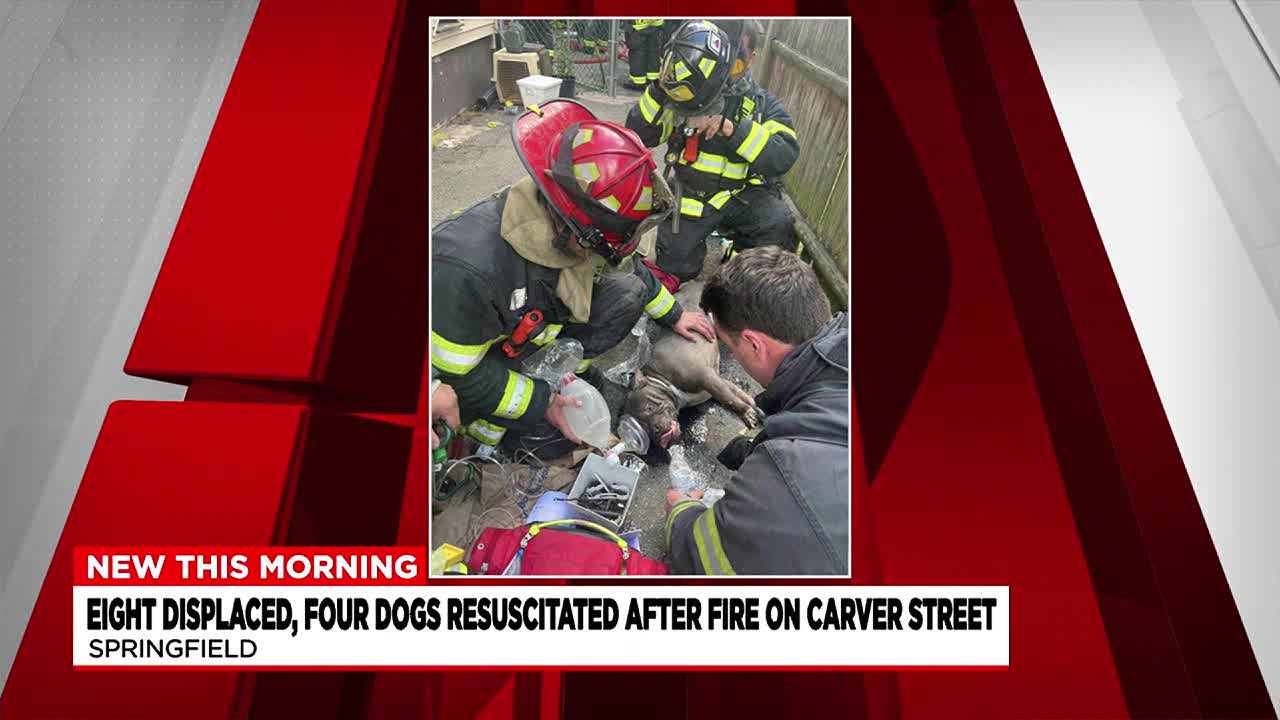 8 displaced; 4 dogs resuscitated after fire on Carver Street in Springfield - Vimarsana News
