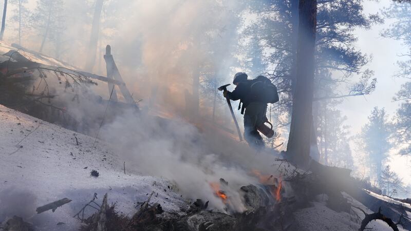 FILE - A member of the Mile High Youth Corps walks near a smoldering pile of tree debris...