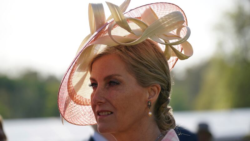 Sophie, the Duchess of Edinburgh speaks with guests during a Garden Party at Buckingham...