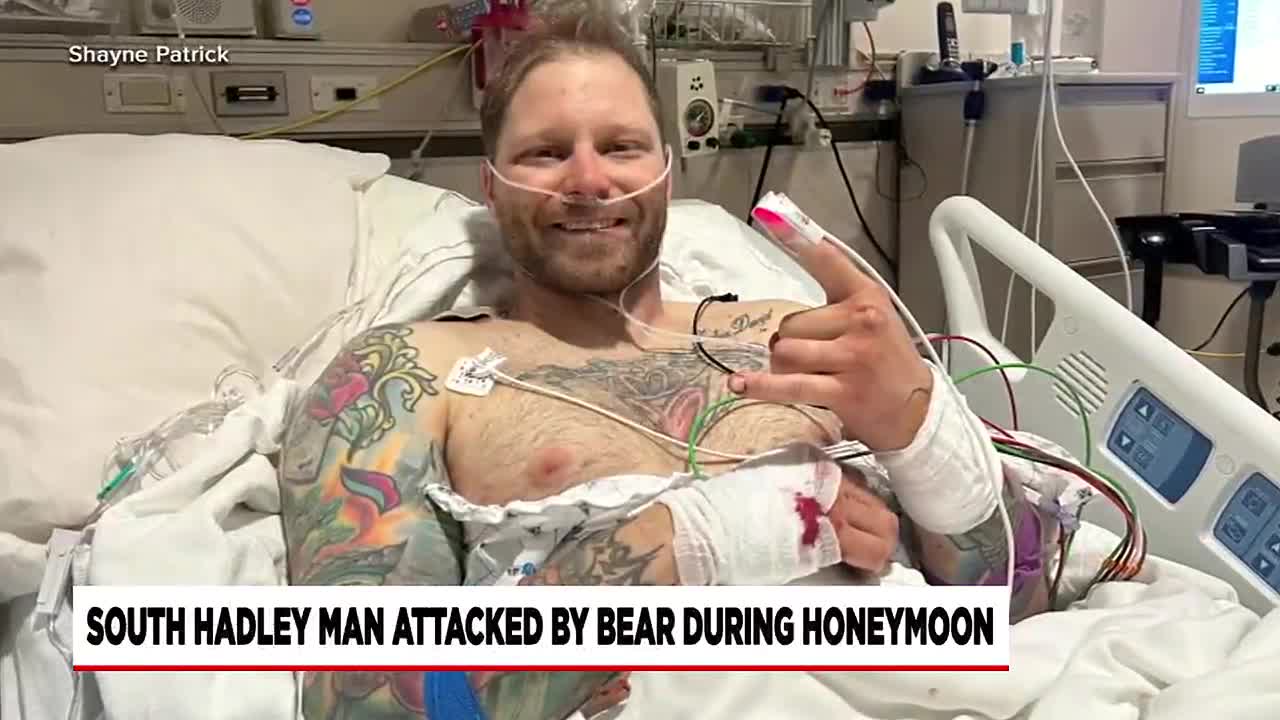 South Hadley veteran survives bear attack on honeymoon hike - Vimarsana News